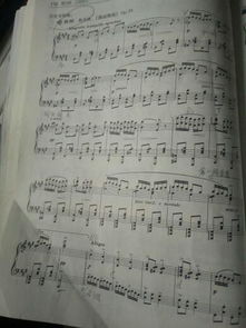 (六月曲式分析结构图)六月衷曲第三章攻略：揭秘最强技能与装备搭配策略