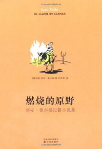 体验浪漫慷慨献身精神，解读《燃烧吧，火焰》歌词背后的革命主义情感表达方式