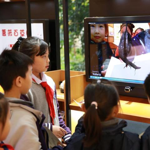 (搜索生存挑战)探索挑战与求生的极限：超越智慧与力量的英雄生存游戏